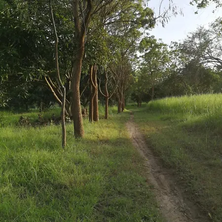 Sahana Retreat Buttala Exterior photo