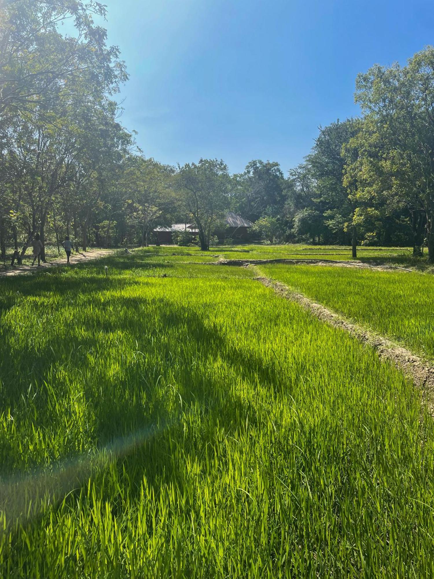 Farm stay Sahana Retreat