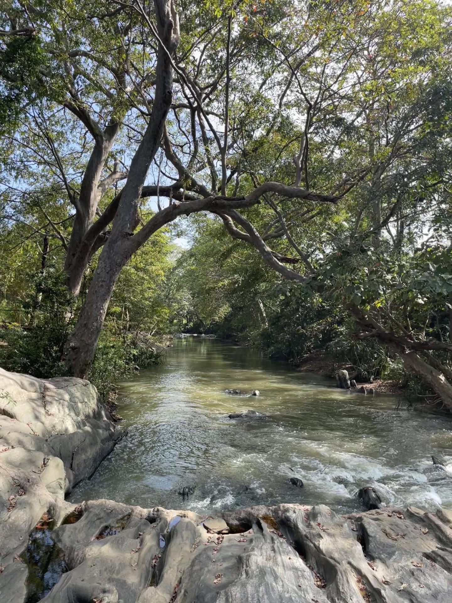 Sahana Retreat Farm stay Buttala