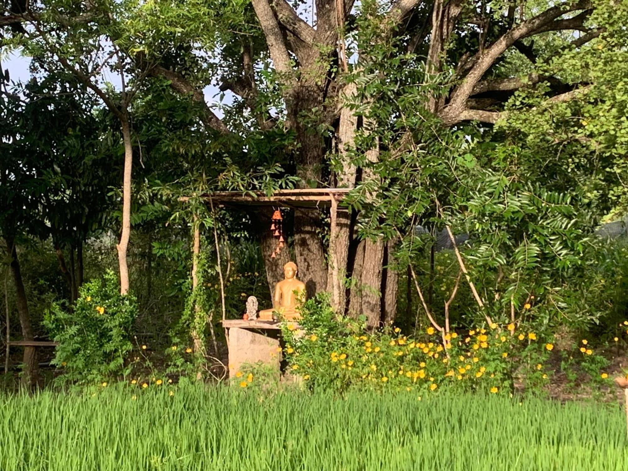 Sahana Retreat * Buttala
