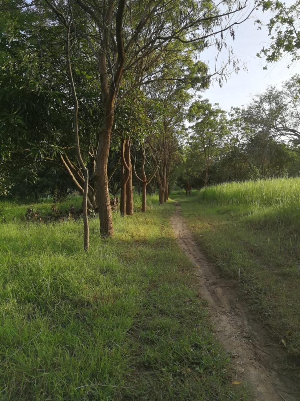 Sahana Retreat Farm stay Buttala